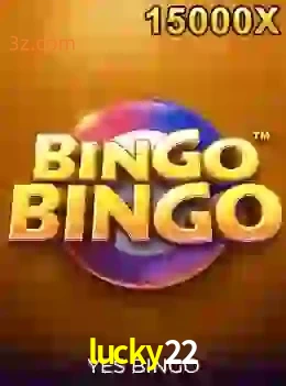 bingobingo